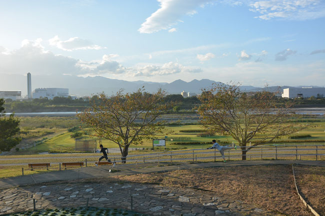 県立相模三川公園
