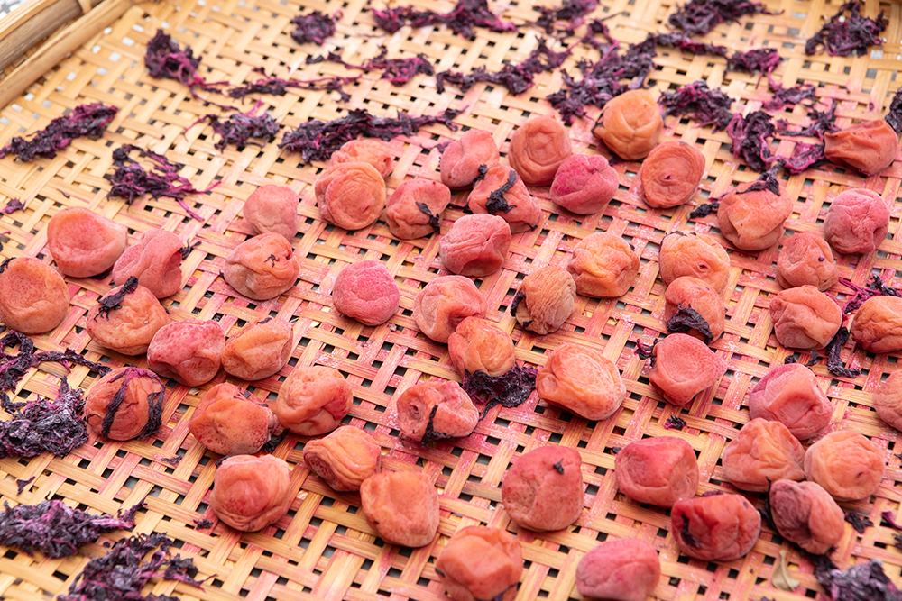 自家製の梅干し