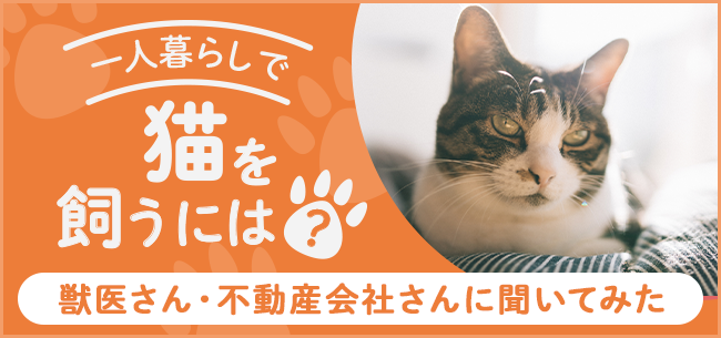 一人暮らしで猫を飼うには 獣医さん 不動産会社さんに聞いてみた 後悔しない部屋選び 住まいのお役立ち記事