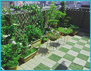 veranda_mekakushi_183