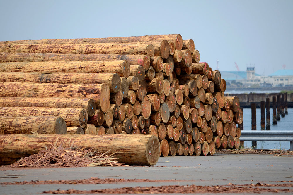 輸入木材のイメージ