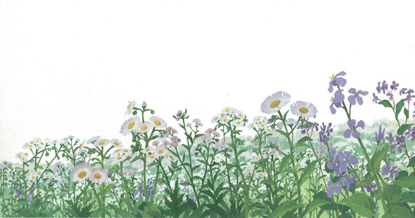 草花イメージ(背景)