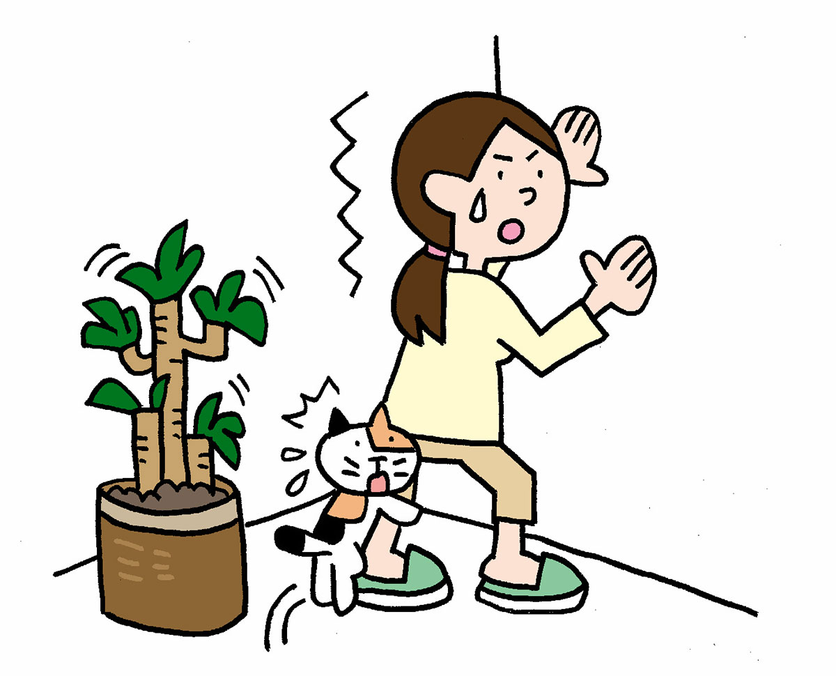 震度6のときの免震構造の建物の状況