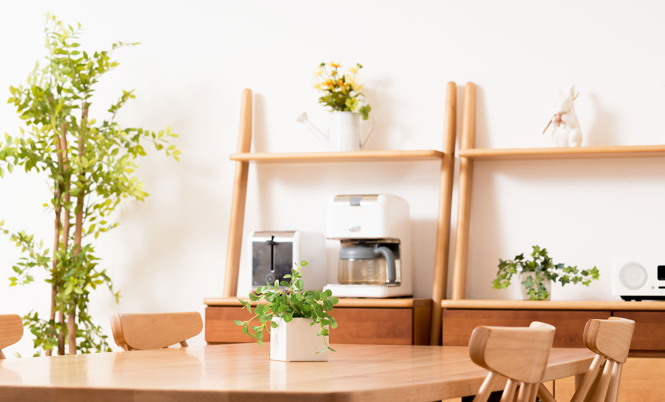 観葉植物をインテリアに取り入れたお部屋の写真