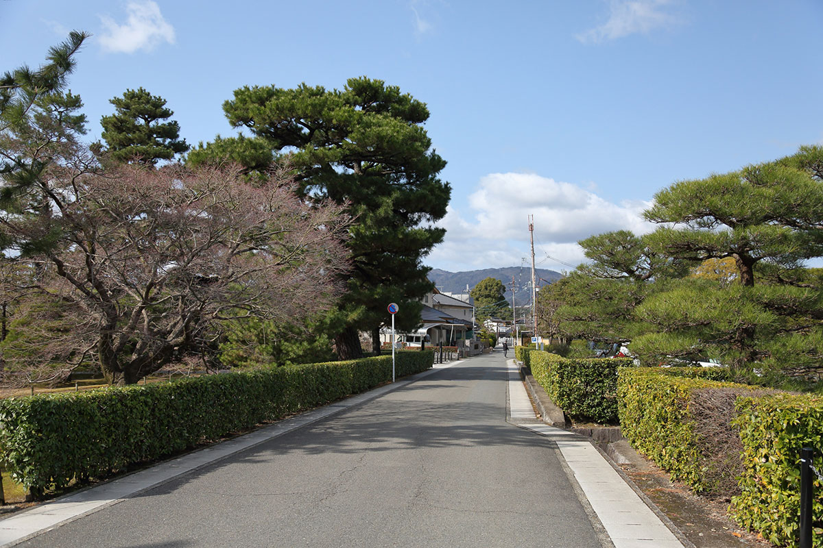 桂駅前付近の住宅街