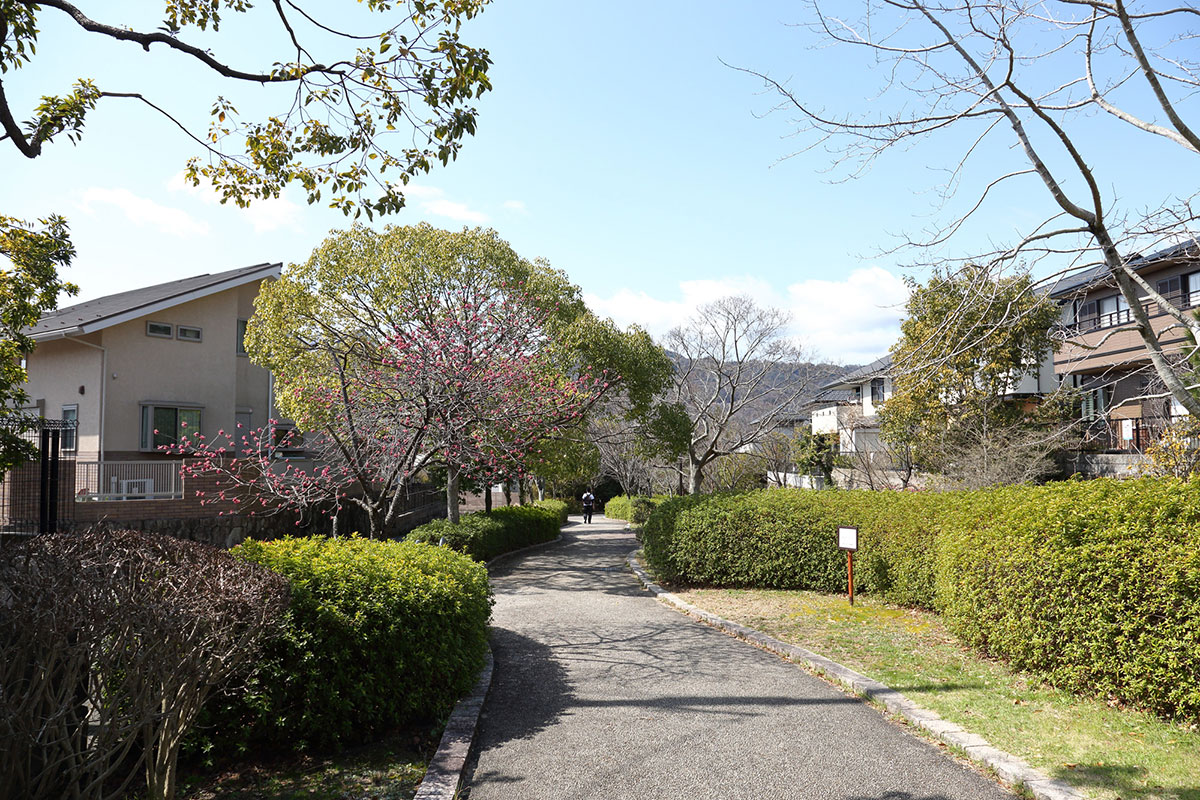 桂坂ニュータウン内