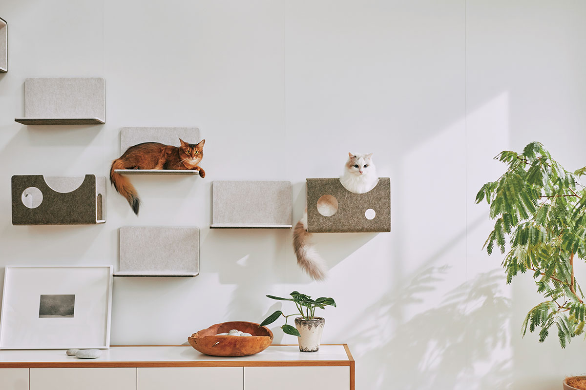 マグネット脱着式のキャットウォーク