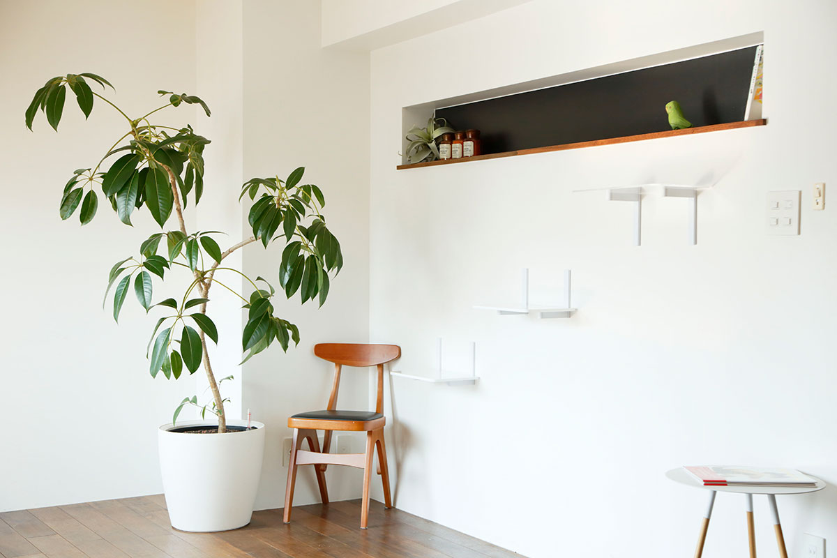 穴跡が目立たないタイプのキャットウォーク