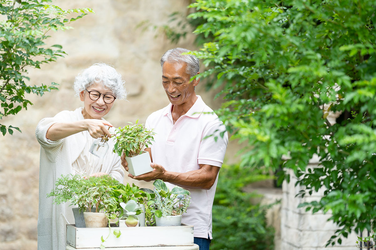 ガーデニングを楽しむ夫妻のイメージ