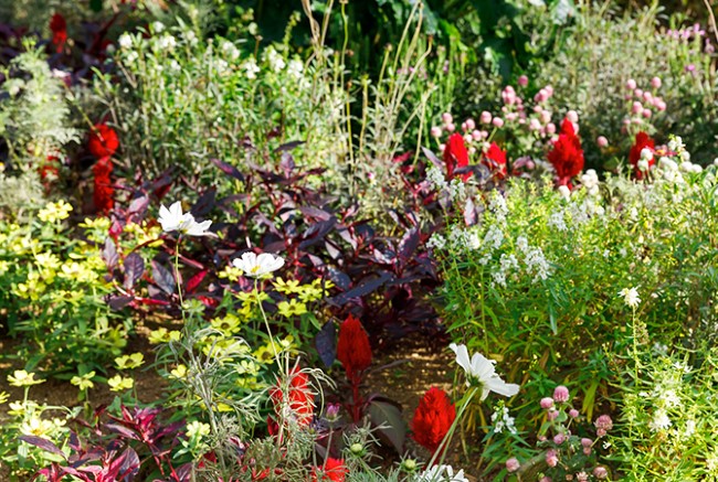 パークシティ溝の口の花壇