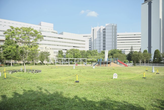 ザ・タワー＆パークス田園都市溝の口のみどりの大広場