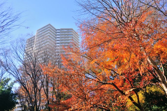 サンシティの外観