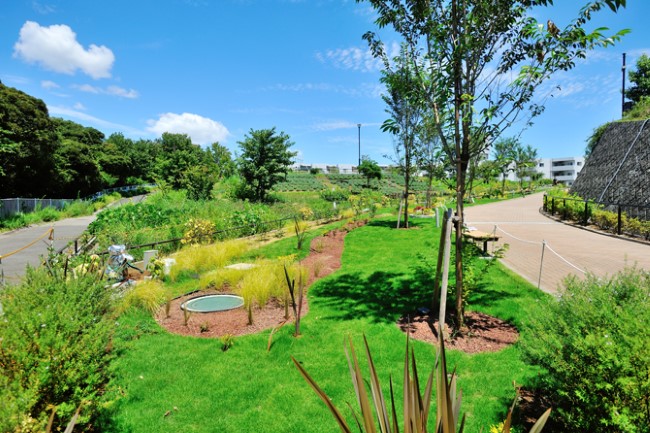ブリリアシティ横浜磯子内の整備された緑地