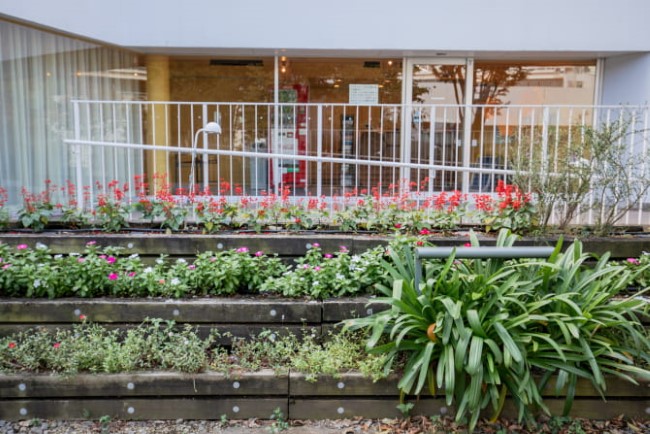 パークシティ柏の葉キャンパス二番街の花壇