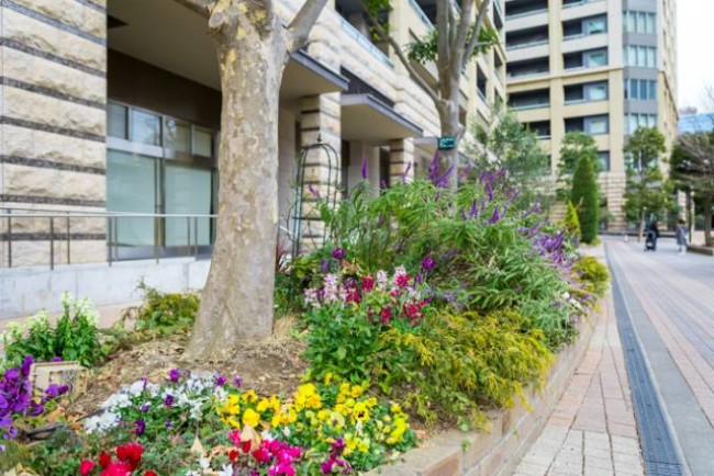 カテリーナ三田タワースイート前の植栽