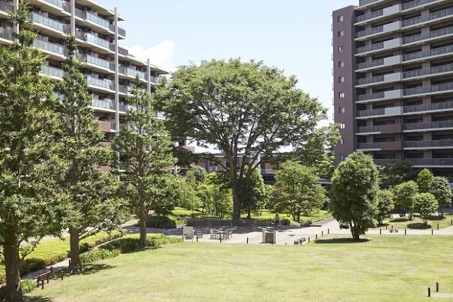 グラン・レジデンスのシンボルツリー