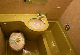 ユニットバスに塗装を施した例