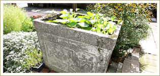 庭の手入れも田名さん自身が行う。戦時中の防火水槽を使ったミニビオトープなど、美しい景観が広がる。