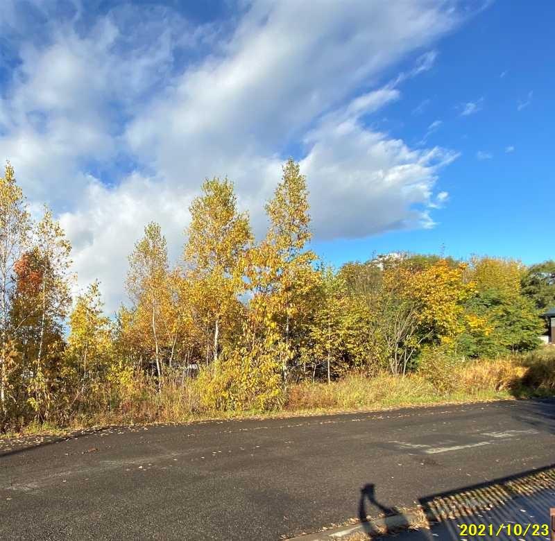 北海道旭川市春光台五条