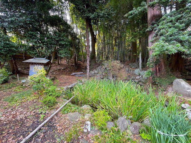 神奈川県伊勢原市大山