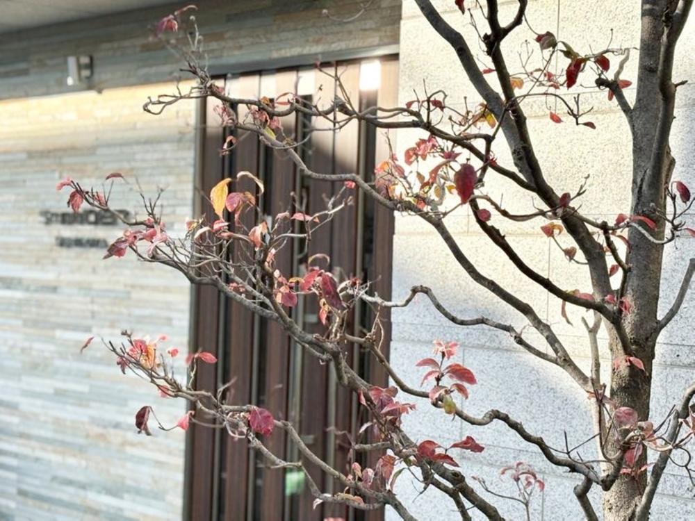 スタジオデン千川