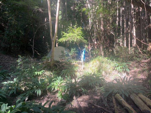 千葉県いすみ市下布施