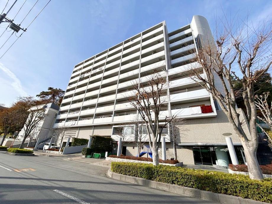 シティ光陽朝霞泉水