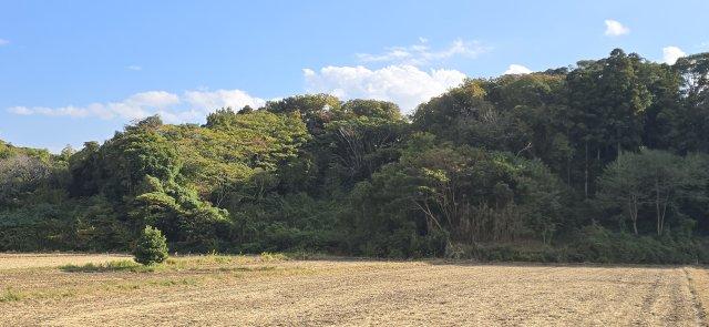 千葉県富津市上