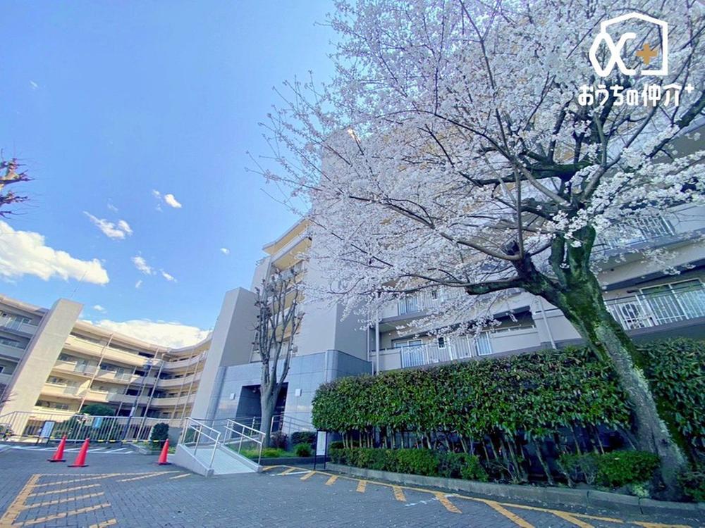 エステ・スクエア武蔵藤沢