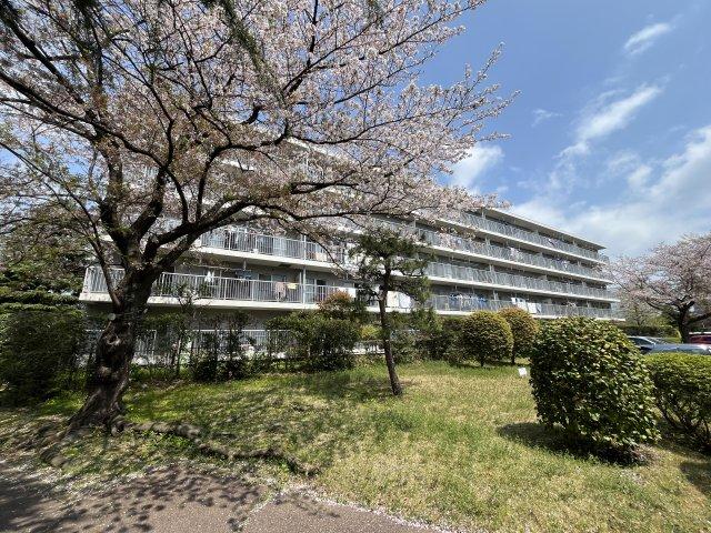 京成サンコーポ浦安 15号棟