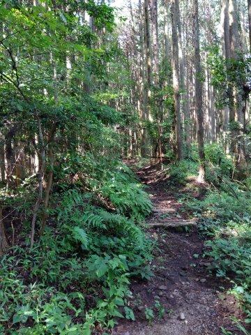 静岡県富士市大淵