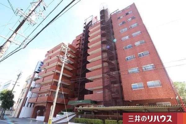 シャンボール康生