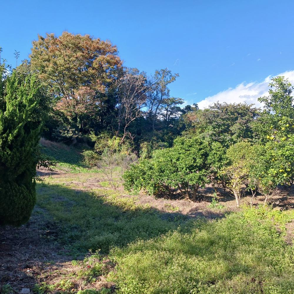 静岡県伊東市富戸