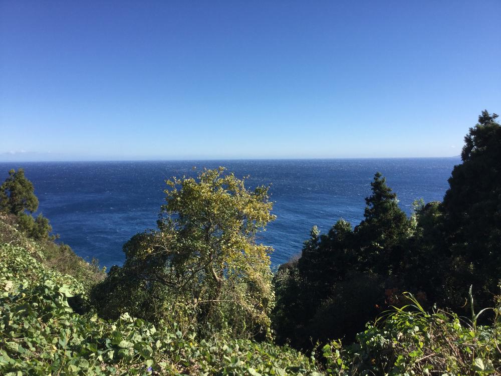 静岡県伊東市富戸