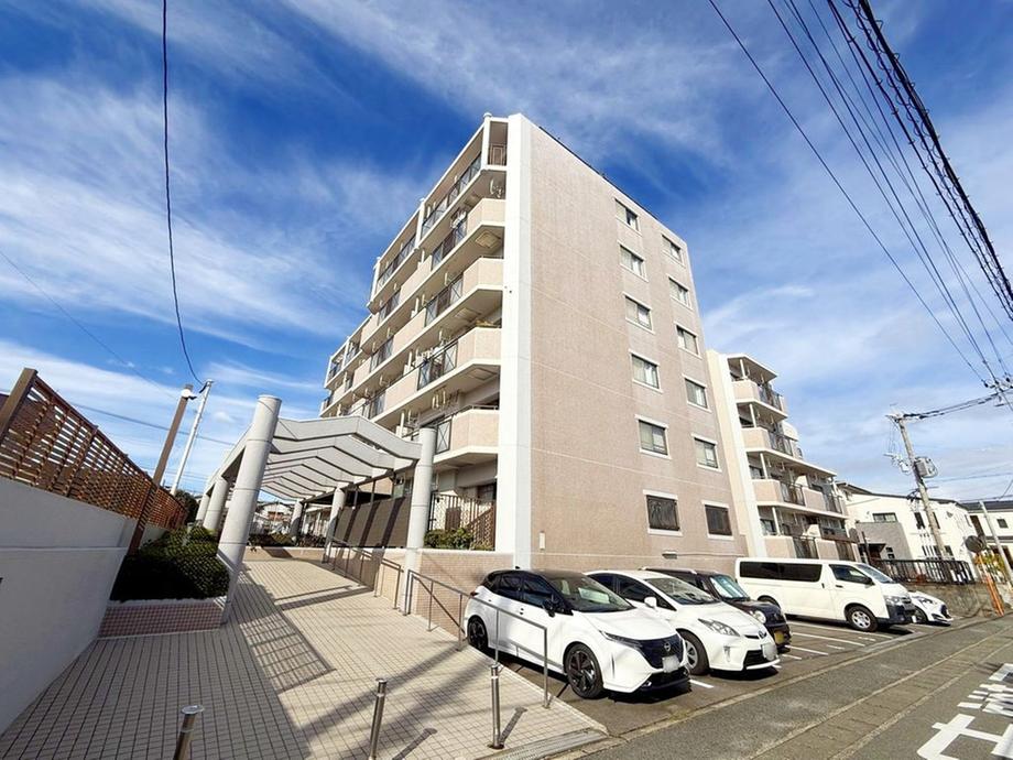 アンピール花畑