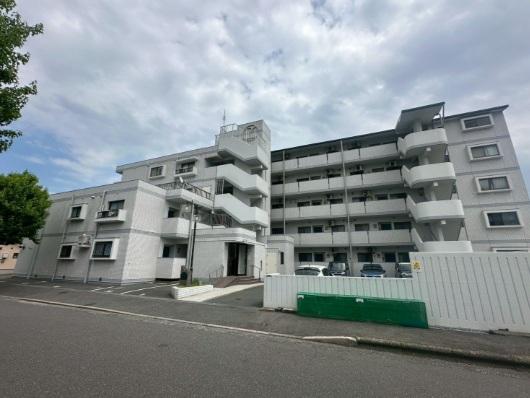 サングレイス朽網