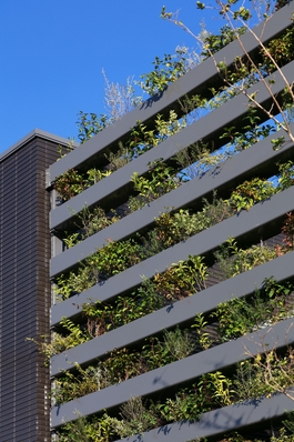 積水ハウスのモデルハウス画像2